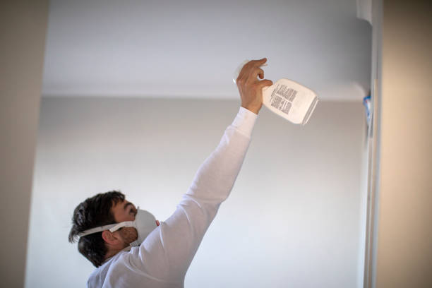 Best Best Mold Removal Companies  in Alvord, TX