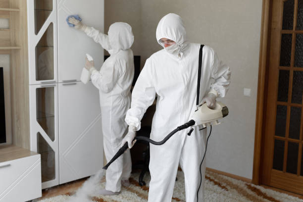 Mold Testing and Removal in Alvord, TX